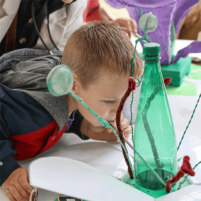 Animation événementielle - 4 Petits rois